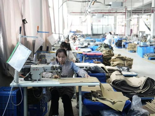 露营经济进入下半场,产业带工厂在拼多多开启品牌之路